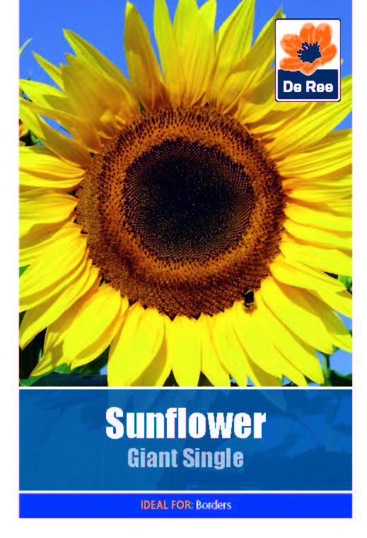 Sunflower Giant Single - Threaplands