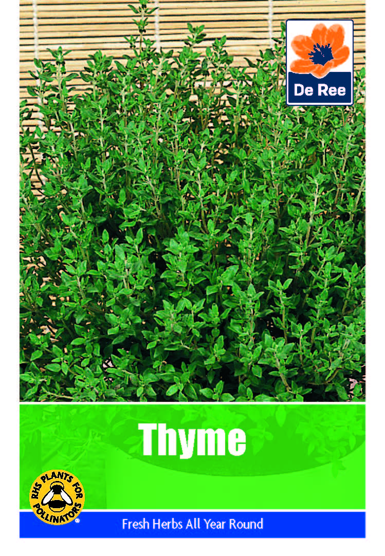 Thyme - Threaplands