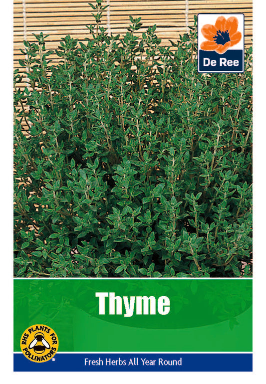 Thyme - Threaplands