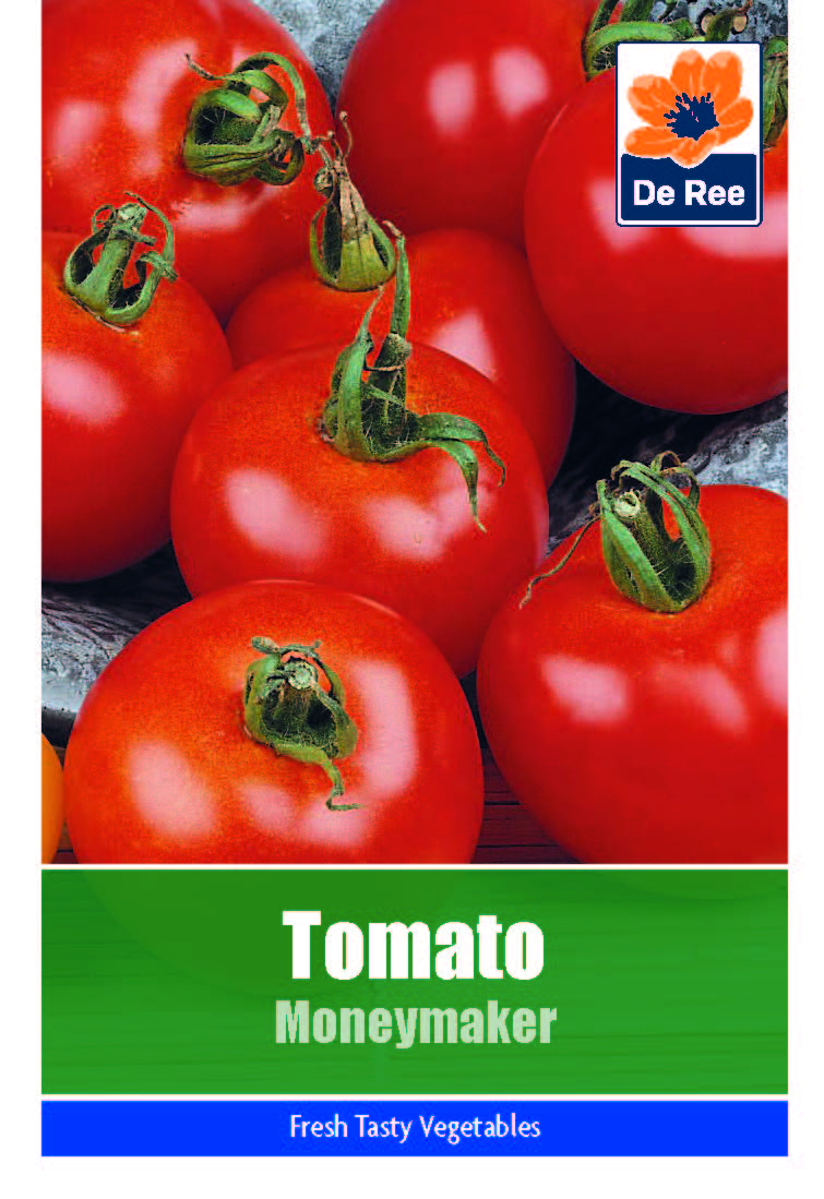 Tomato Moneymaker - Threaplands