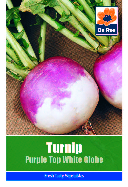 Turnip Purple Top White Globe - Threaplands