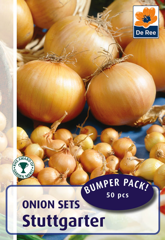 Stuttgarter Onions - Threaplands