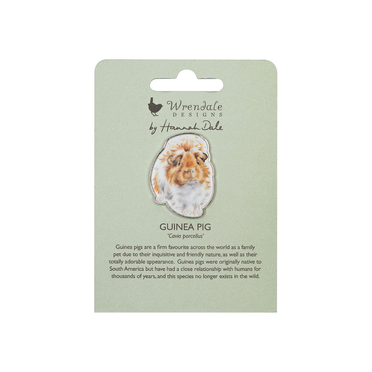Wrendale Guinea Pig Pin Badge - Grinny Pig - Threaplands
