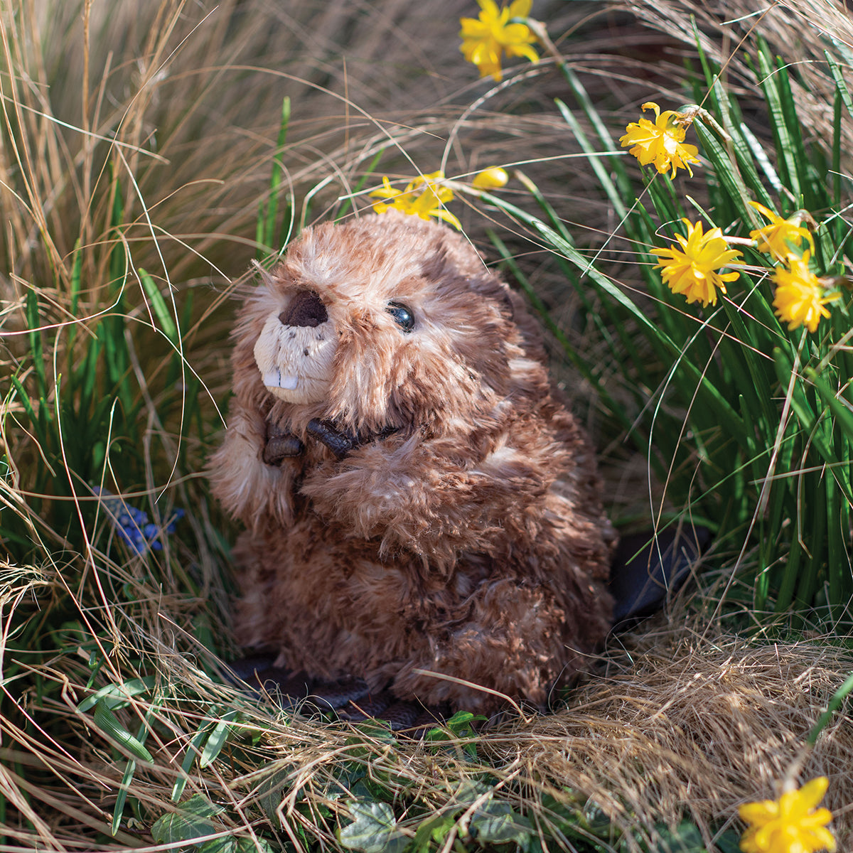 Wrendale Medium Beaver Plush- Chester