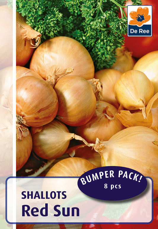 Red Sun Shallots - Threaplands