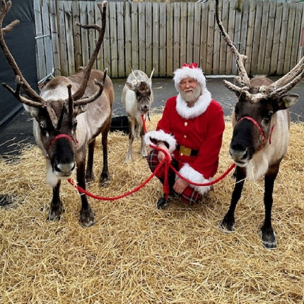 Santa's Reindeer Visit