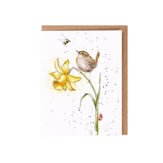 Wrendale Wren Seed Card - The Birds & The Bees