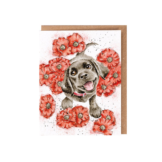 Wrendale Dog Seed Card - Poppy Love