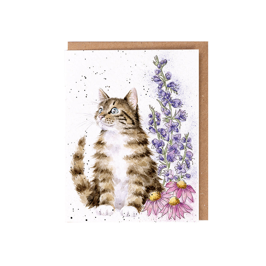 Wrendale Cat Seed Card - Whiskers & Wildflowers