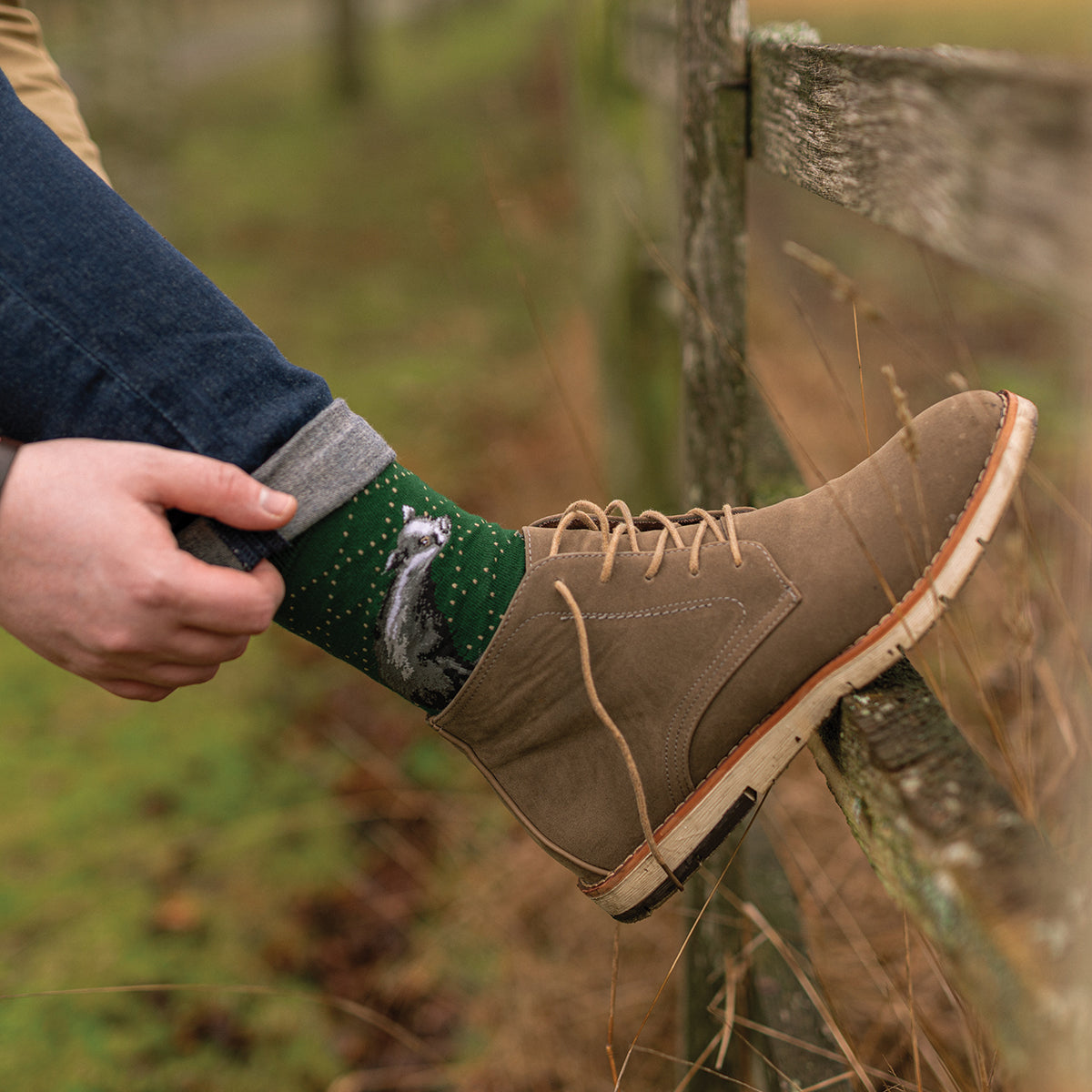 Wrendale Badger Socks - A Country Gent
