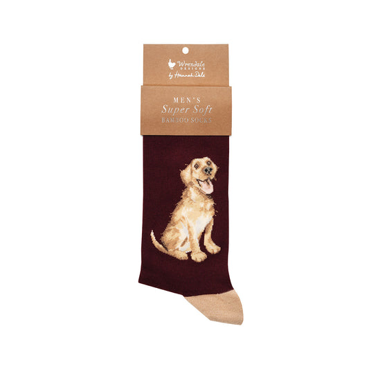 Wrendale Golden Lab Socks - Good as Gold