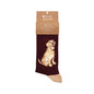 Wrendale Golden Lab Socks - Good as Gold