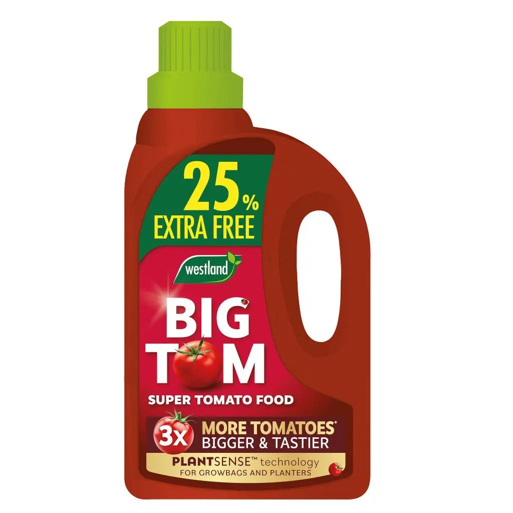 Westland Big Tom Tomato Food 1L +25% Extra Free