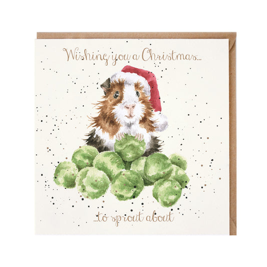 Wrendale Card - Sprouts