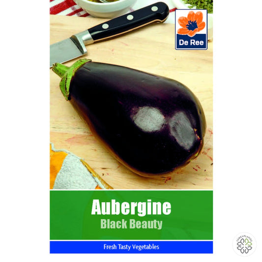 Aubergine Black Beauty - Threaplands [optimised-1040-watermarked]