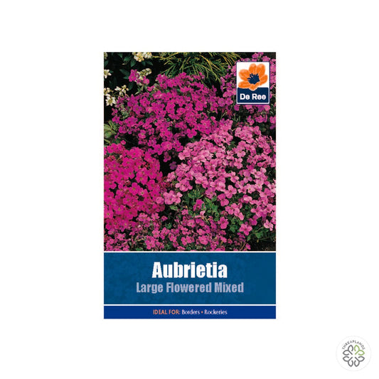Aubretia Large Flower - Threaplands [optimised-1040-watermarked]