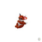 Beanie Bellies - Witt Fox - Reg [optimised-1040-watermarked]