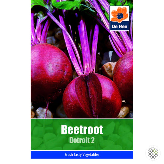 Beetroot Detroit - Threaplands [optimised-1040-watermarked]