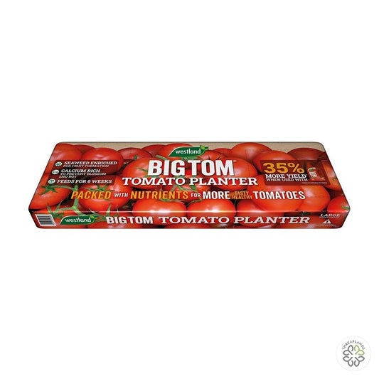 Big Tom Super Tomato Planter Large - Threaplands [optimised-1040-watermarked]