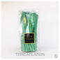 Bon Bon's - Watermelon Cables [optimised-1040-watermarked]