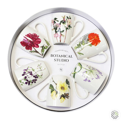 Botanic Studio Set 6 Mugs In Hat Box - Threaplands [optimised-1040-watermarked]