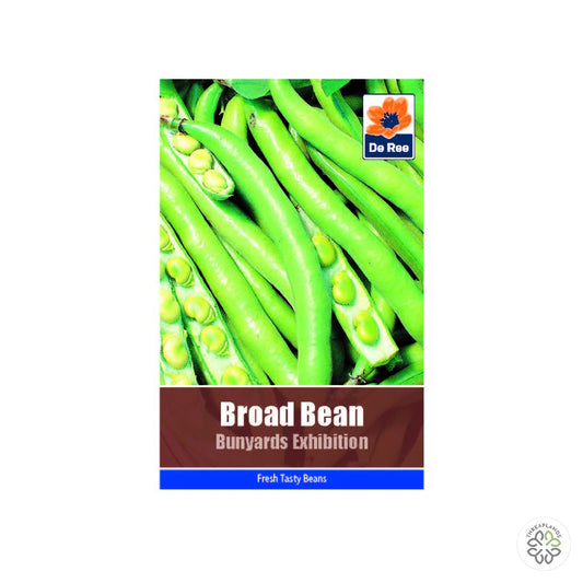 Broad Bean Bunyards Exhibition - Threaplands [optimised-1040-watermarked]