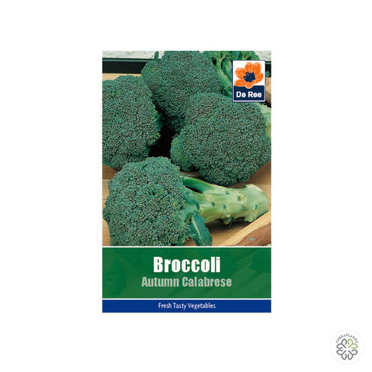 Broccoli Autumn Calabrese - Threaplands [optimised-1040-watermarked]