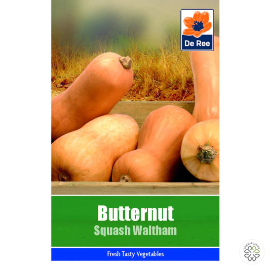 Butternut Squash Waltham - Threaplands [optimised-1040-watermarked]