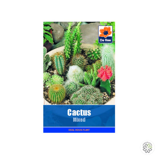 Cactus Mixed - Threaplands [optimised-1040-watermarked]