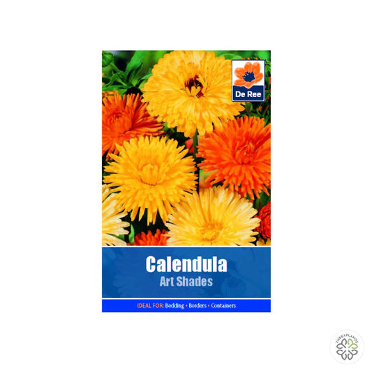 Calendula Art Shades - Threaplands [optimised-1040-watermarked]