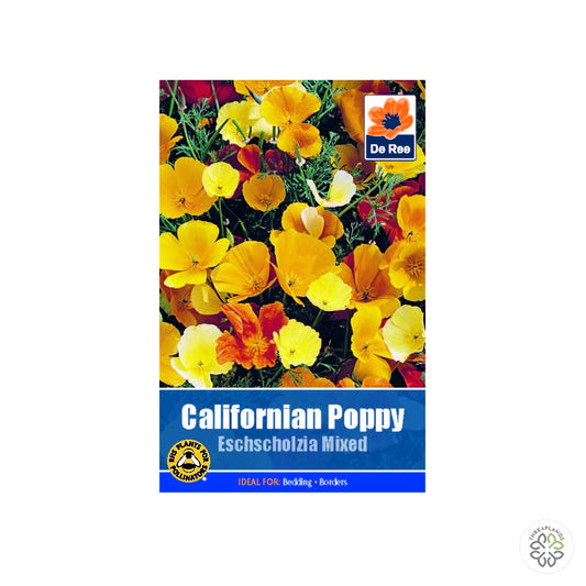 Californian Poppy Esch Mixed - Threaplands [optimised-1040-watermarked]