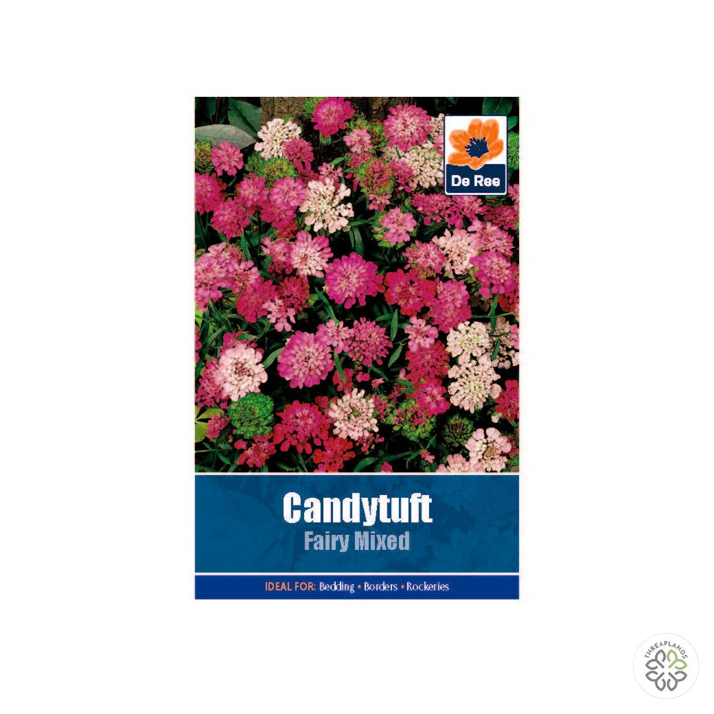 Candytuft Fairy - Threaplands [optimised-1040-watermarked]