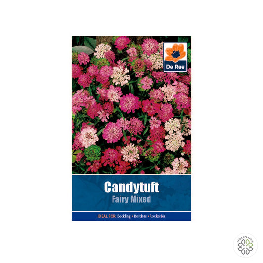 Candytuft Fairy - Threaplands [optimised-1040-watermarked]