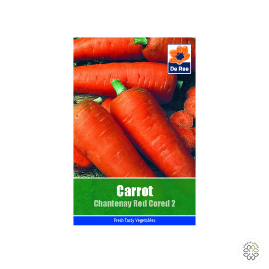 Carrot Chantenay Red Cored 2 - Threaplands [optimised-1040-watermarked]