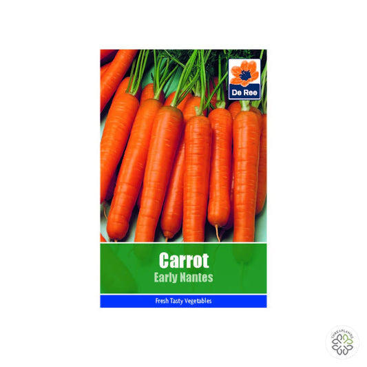 Carrot Early Nantes - Threaplands [optimised-1040-watermarked]