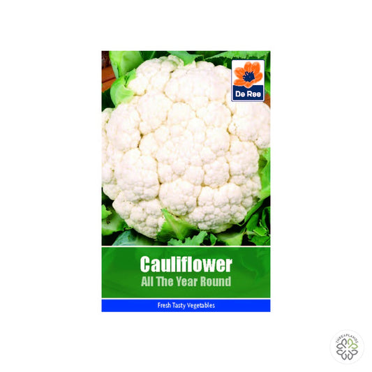 Cauliflower All Year Round - Threaplands [optimised-1040-watermarked]