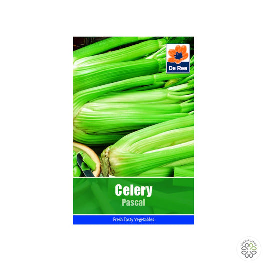 Celery Pascal - Threaplands [optimised-1040-watermarked]