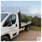 Christmas Tree Collection [optimised-1040-watermarked]