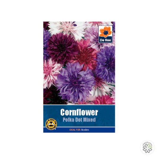 Cornflower Polka Dot - Threaplands [optimised-1040-watermarked]