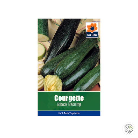 Courgette Black Beauty - Threaplands [optimised-1040-watermarked]