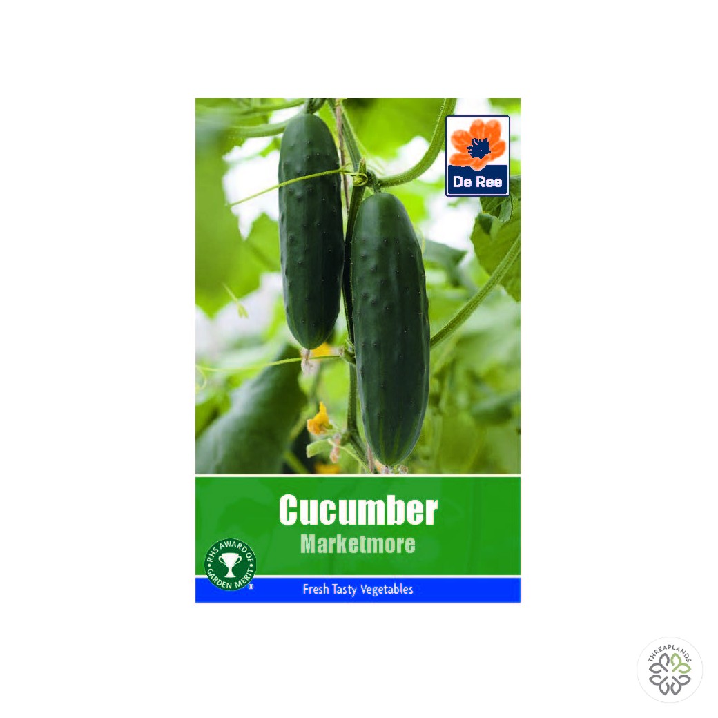 Cucumber Marketmore - Threaplands [optimised-1040-watermarked]