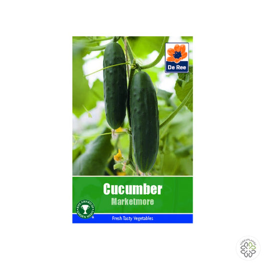 Cucumber Marketmore - Threaplands [optimised-1040-watermarked]