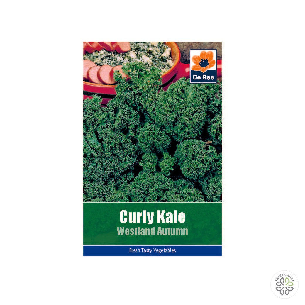 Curly Kale Westland Autumn - Threaplands [optimised-1040-watermarked]