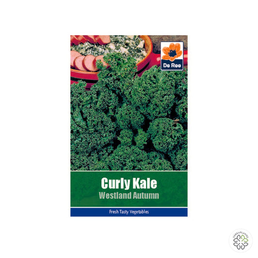 Curly Kale Westland Autumn - Threaplands [optimised-1040-watermarked]