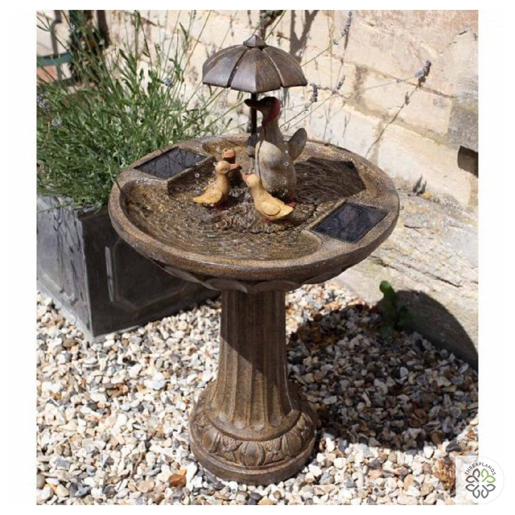 Duck Family Fountain - Threaplands [optimised-1040-watermarked]