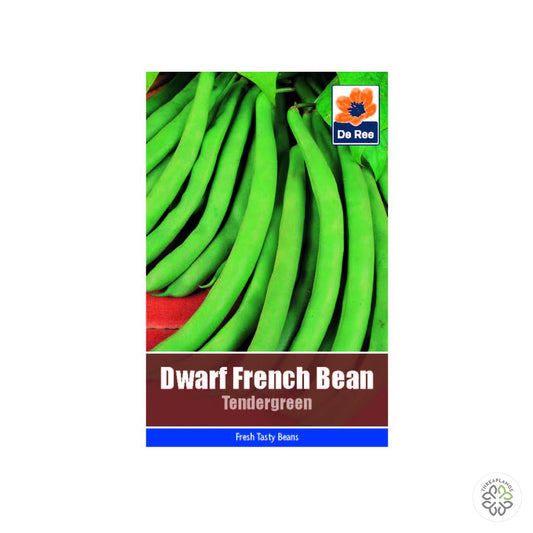Dwarf French Bean Tendergreen - Threaplands [optimised-1040-watermarked]