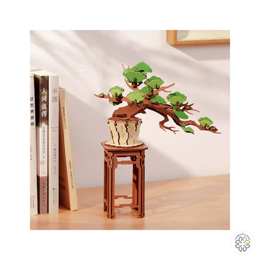 Robotime Evergreen Pine Bonsai - Threaplands [optimised-1040-watermarked]