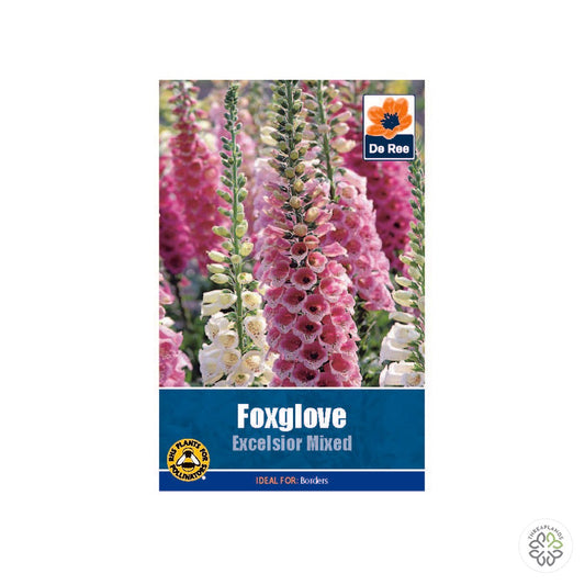 Foxglove Excelsior Mixed - Threaplands [optimised-1040-watermarked]