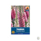 Foxglove Excelsior Mixed - Threaplands [optimised-1040-watermarked]