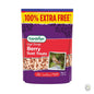 Gardman Berry Suet Treats 500g + 100% XF - Threaplands [optimised-1040-watermarked]